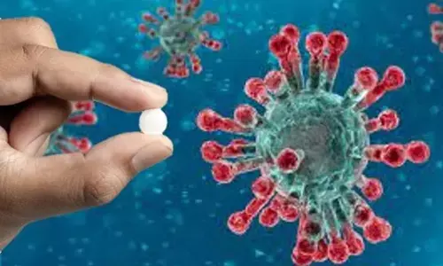 Antiviral drug MK-4482 shows promise against Covid