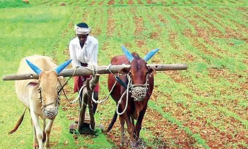 FPOs all set to prepare tech-savvy farmers in Telangana