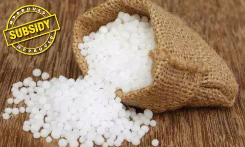 Union Cabinet approves exclusive subsidy policy for Urea produced through coal gasification by TFL