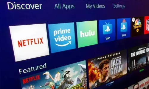 It was field day for e-com, OTT platforms in 2020