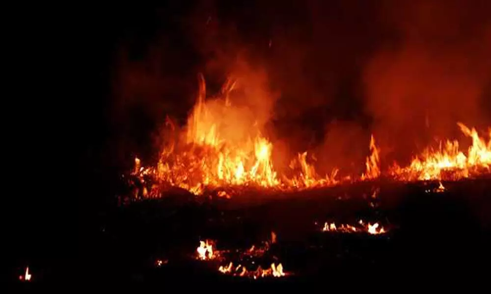 Fire breaks out at furniture market in west Delhi