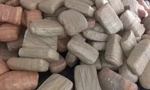 Indias DRI seizes over 300 kg cocaine coming from Panama