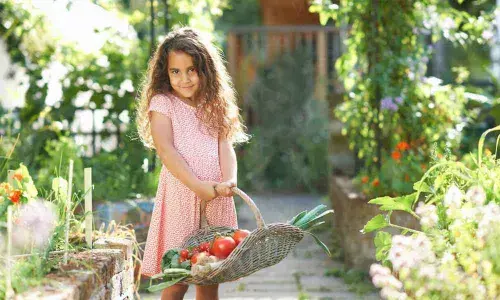 Sustainable food life, for a better lifestyle