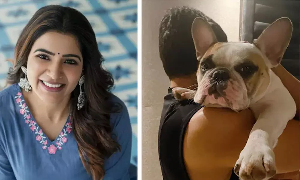 Samantha Akkineni: Hang in there, it gets better