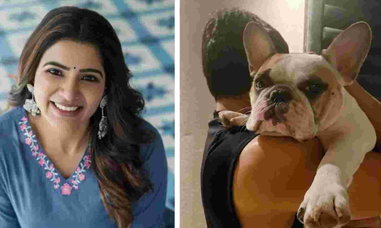 Samantha Akkineni exhorts fans to stay resilient in testing times of Covid:  'Hang in there