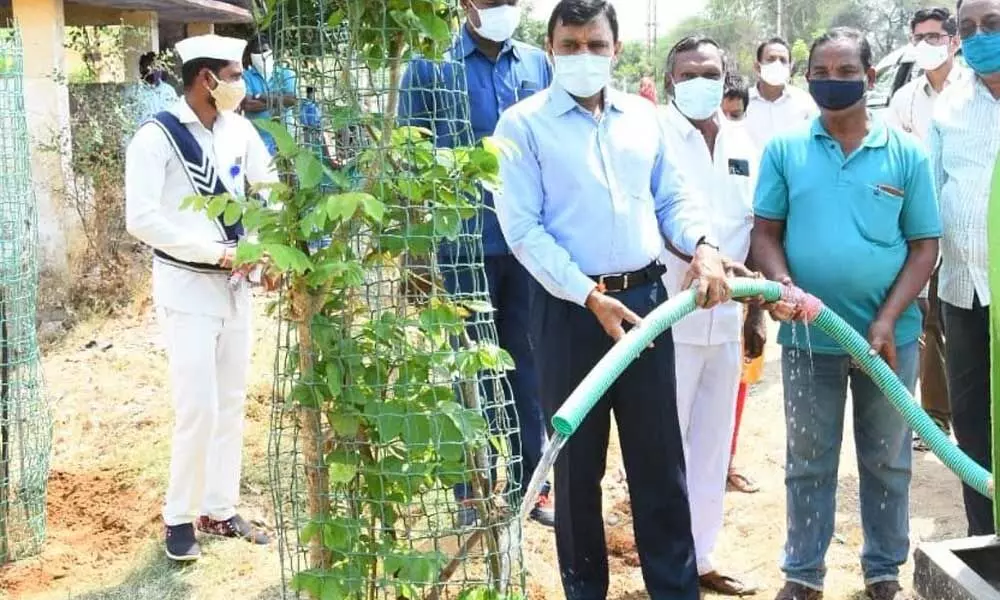 District Collector Dr A Sharath watering a plant at Avenue Plantation on the outskirts of Lingampally village on Friday