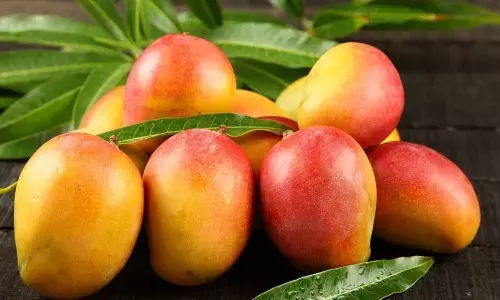 Mango museum to come up in Lucknow