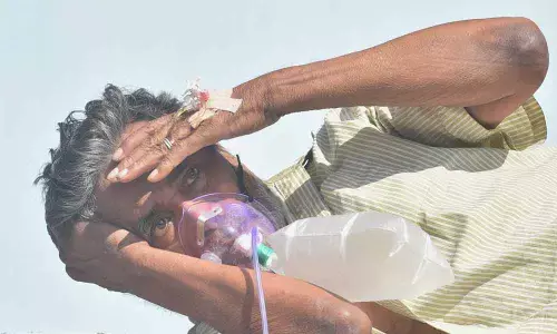 Survivors face increased risk of death, serious illness