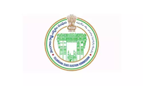 State Election Commission curtails campaign time to 72 hours before polls