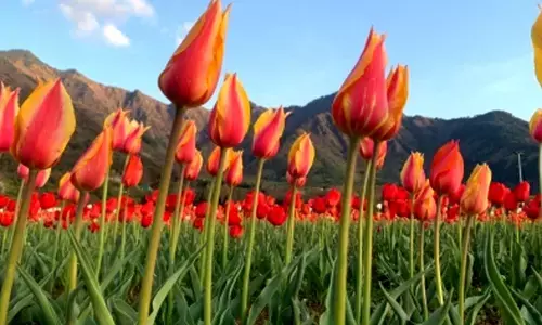 Sunshine in Jammu and Kashmir, Ladakh after 4 days