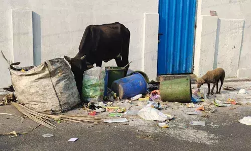 Poor sanitation adds to woes of people in Covid time