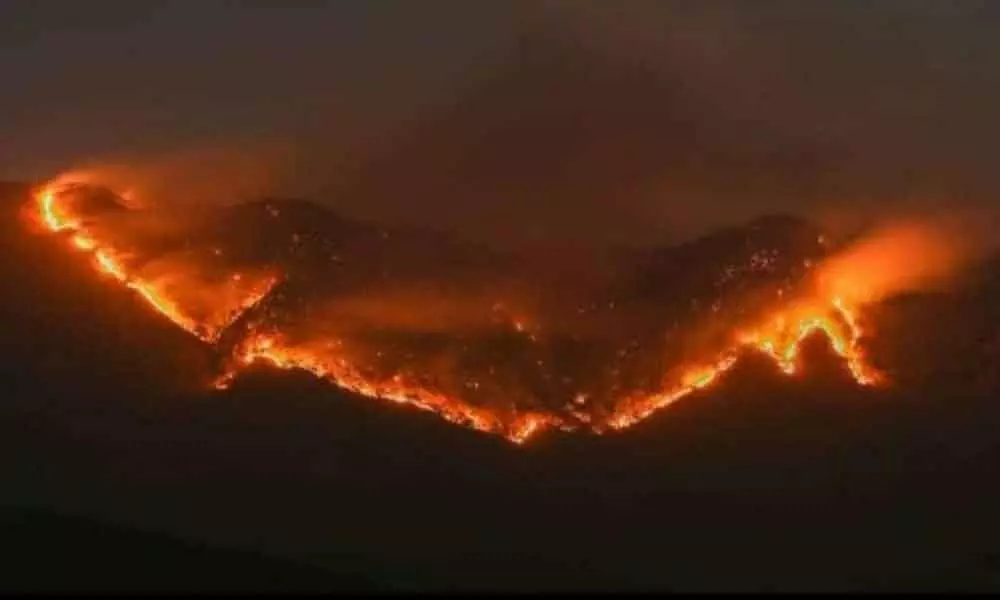Australia-type bushfire ravages Mizoram’s southern dists