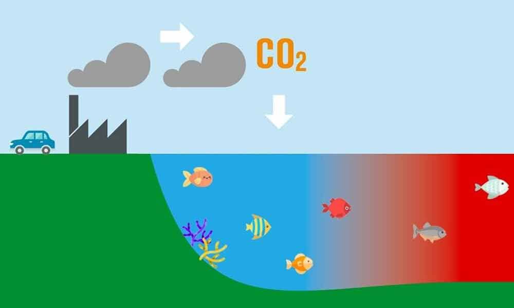 Commonwealth nations to tackle ocean acidification