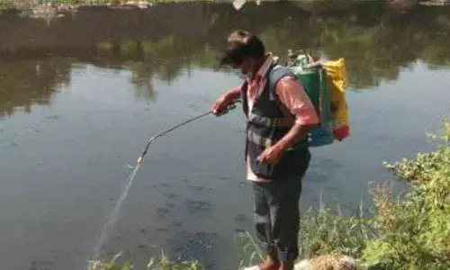 Outside coronavirus, inside mosquitoes