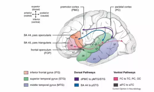Understanding language & cognition