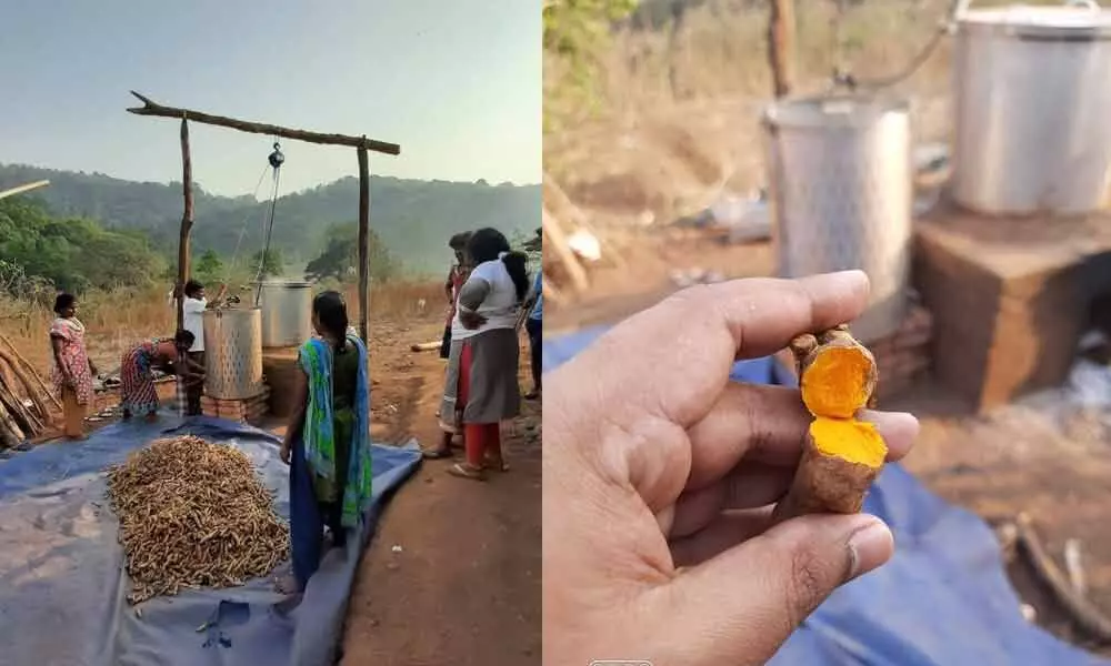Tribals at Galikonda area learning to process turmeric rhizomes to make them marketable; District police give away a turmeric boiler to Galikonda farmers in Visakhapatnam