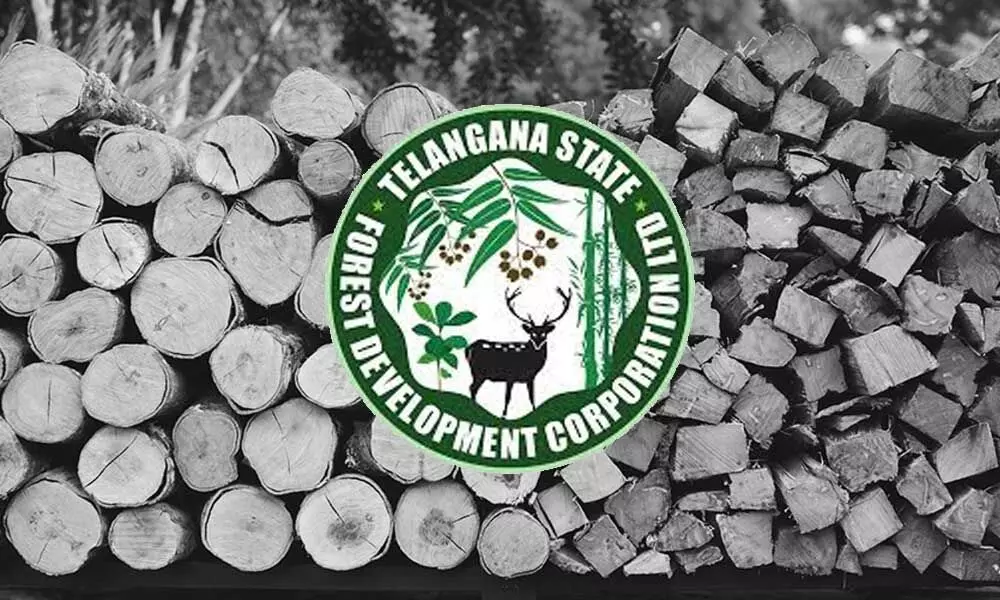 TSFDC to provide 1,000 tons of wood free of cost to burial grounds
