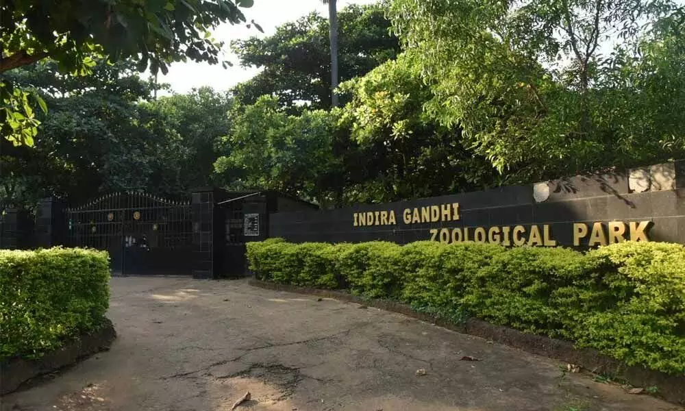 Indira Gandhi Zoological Park will remain closed for the visitors in Visakhapatnam.