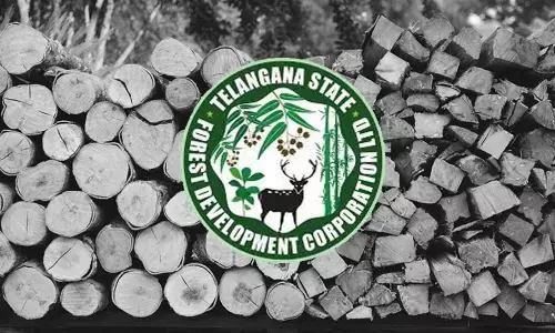 TSFDC to provide 1,000 tons of wood free of cost to burial grounds