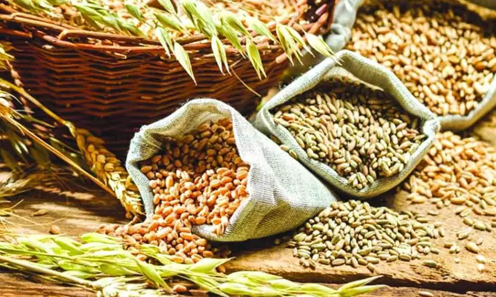 Cabinet approves free foodgrain under PMGKAY for 2 months