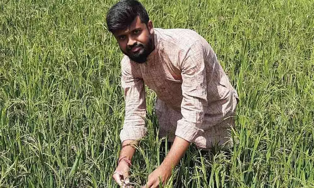 Koutilya Krishnan amidst black paddy crop