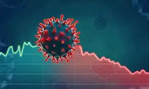 Covid-19 crisis poses economic risk: Finance Ministry