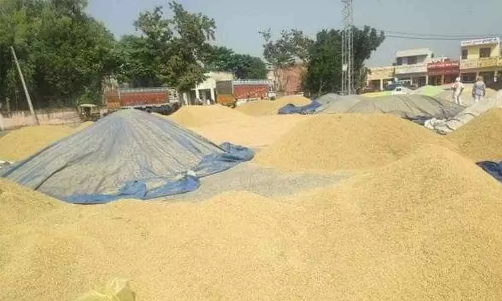 Heaps of Paddy stocked by farmers at a paddy procurement centre in Mahbubnagar