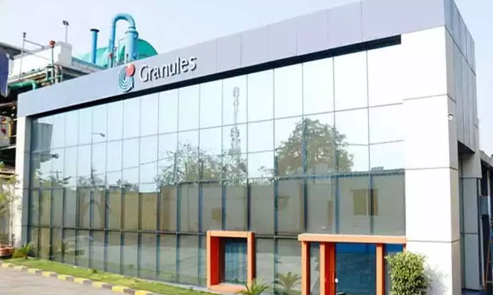 Granules India Q4FY21 results