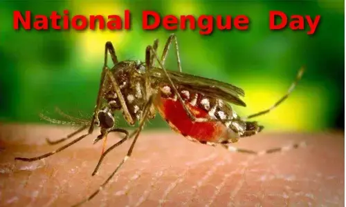 National Dengue Day