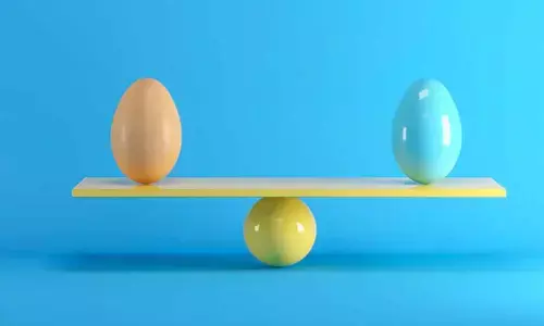 Balancing investment portfolio key