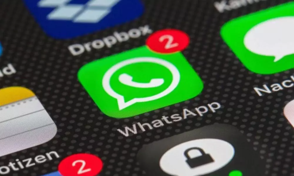 Dont want to accept WhatsApp privacy policy? Know how competition treats your data