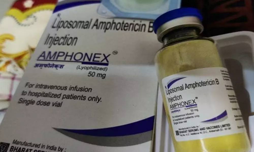 Amphotericin B liposome injection