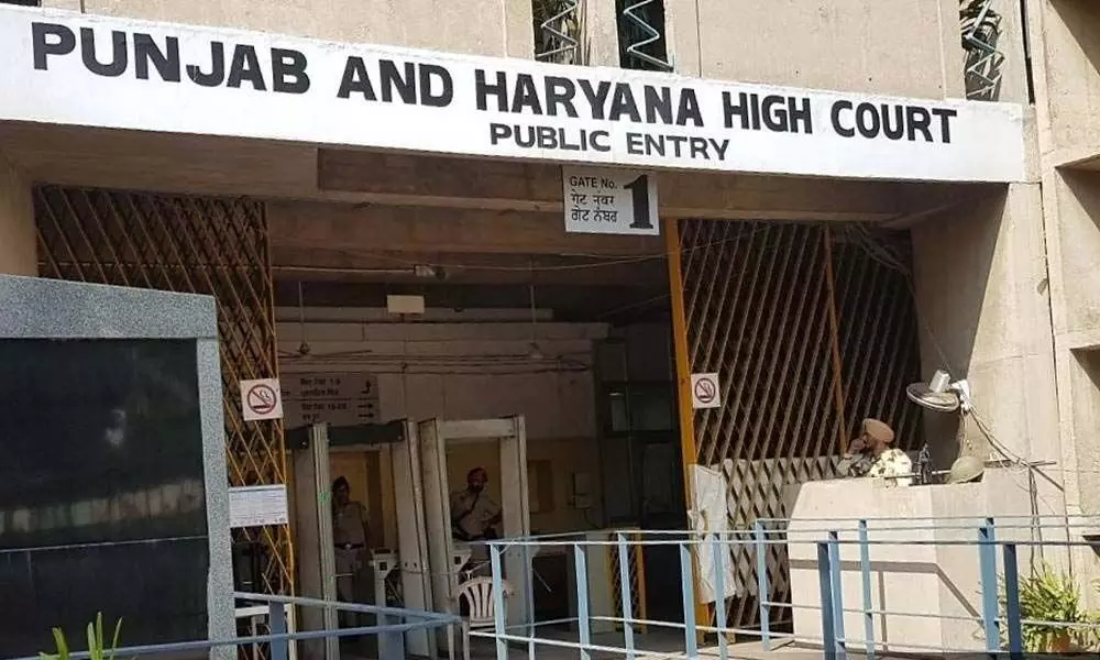 Punjab and Haryana High Court Rules That Live-In Relationships Are Morally And Socially Unacceptable