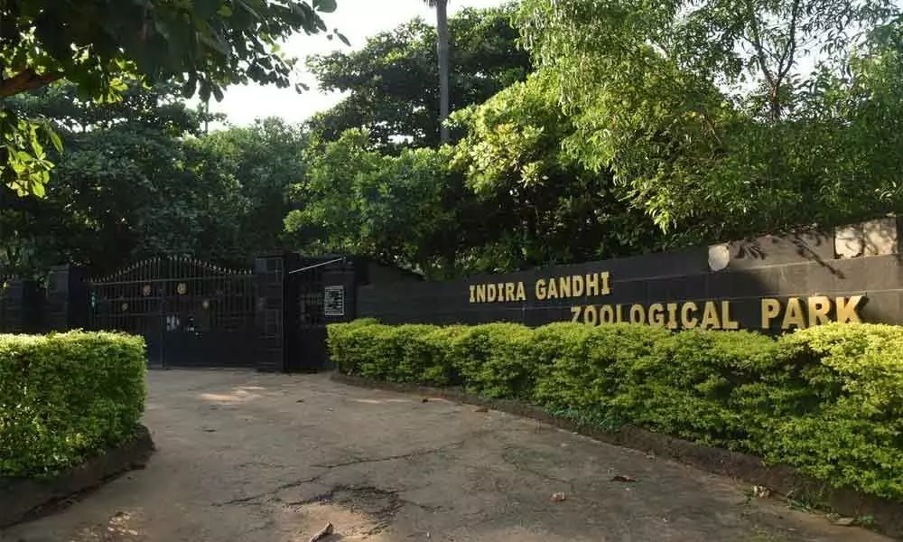 A view of Indira Gandhi Zoological Park in Visakhapatnam