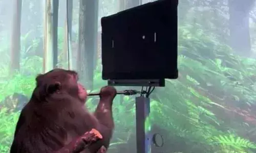 Elon Musk Neuralink, Teaches Monkey To Play Pong With His Own Mind