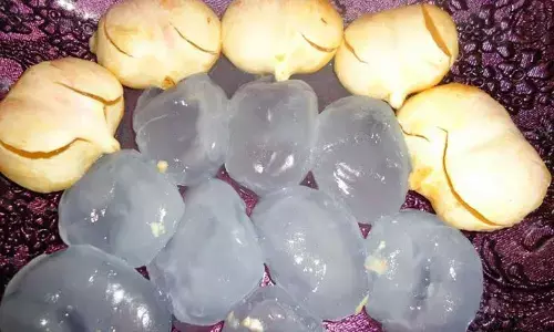 Ice apples rare to find due to covid