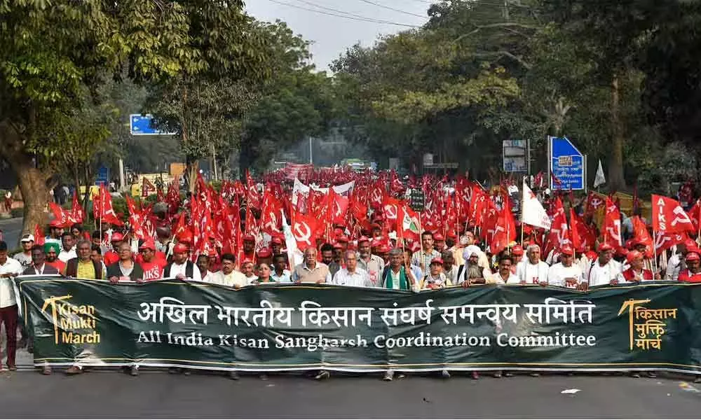 Has farmers’ Delhi protest impacted BJP’s performance in recent polls?