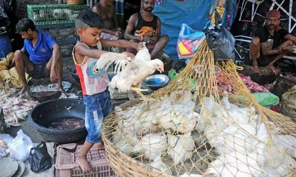 Poultry farmers urge Karnataka Government to extend timings of chicken shops