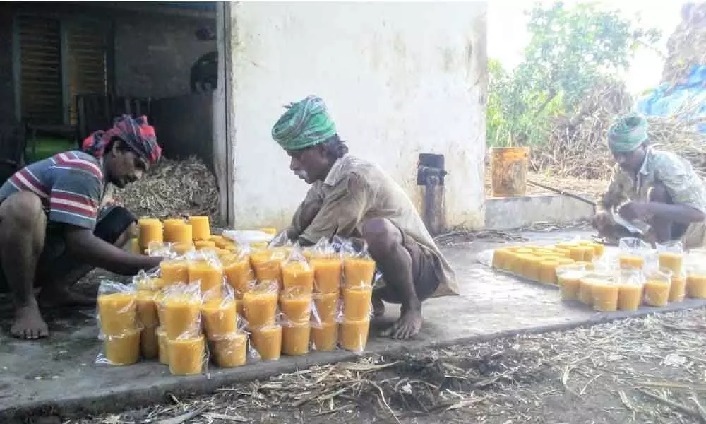 Workers busy in preparation and packaging of jaggery in a factory in Kakinada
