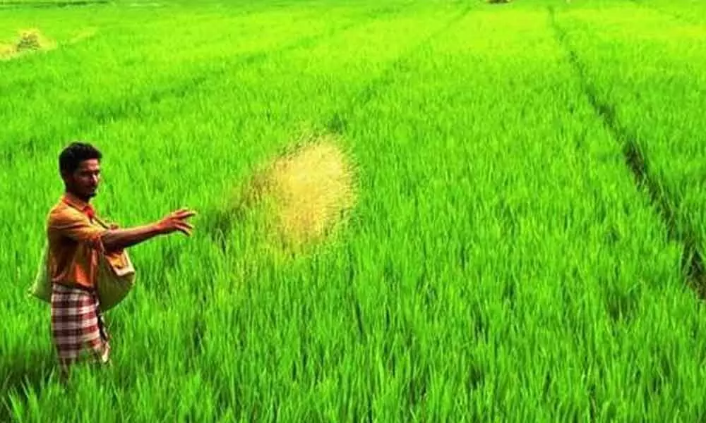 AP agri sector experiences sea change in 2 years