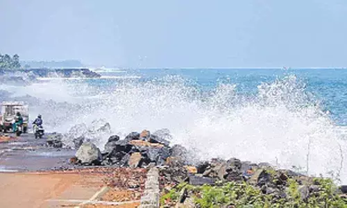 Cyclone Yaas: East Godavari put on alert