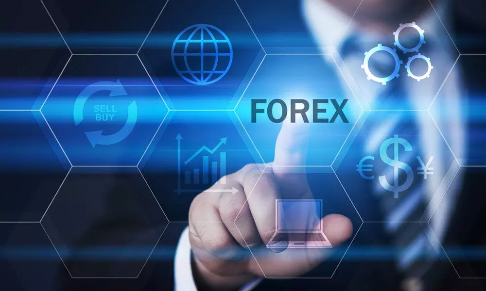 How to Avoid the Big Loss in Forex