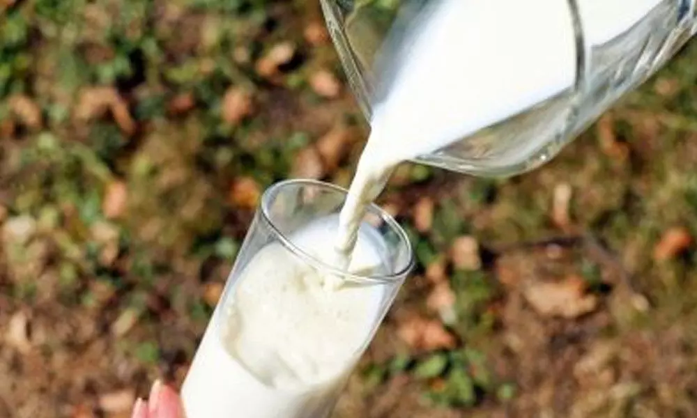 PETA India advises Amul to switch to creamy dairy-free milk