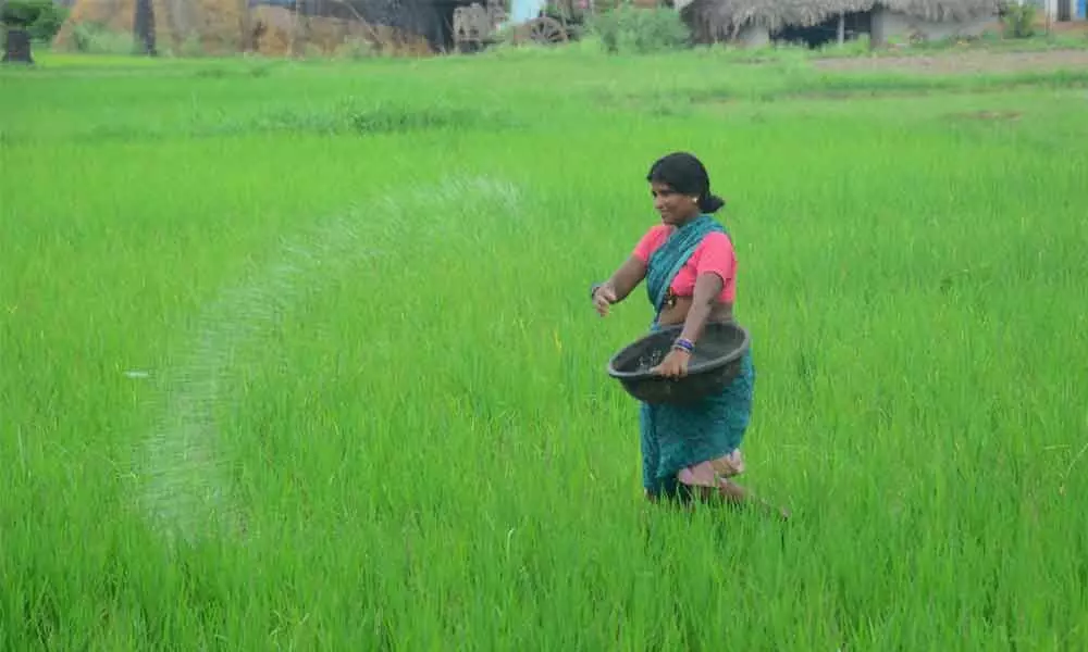 Telangana government has reportedly decided to stop Rythu Bandhu this kharif