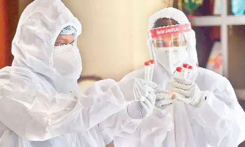 State to challenge NGTs decision to constitute panel on Mekedatu project