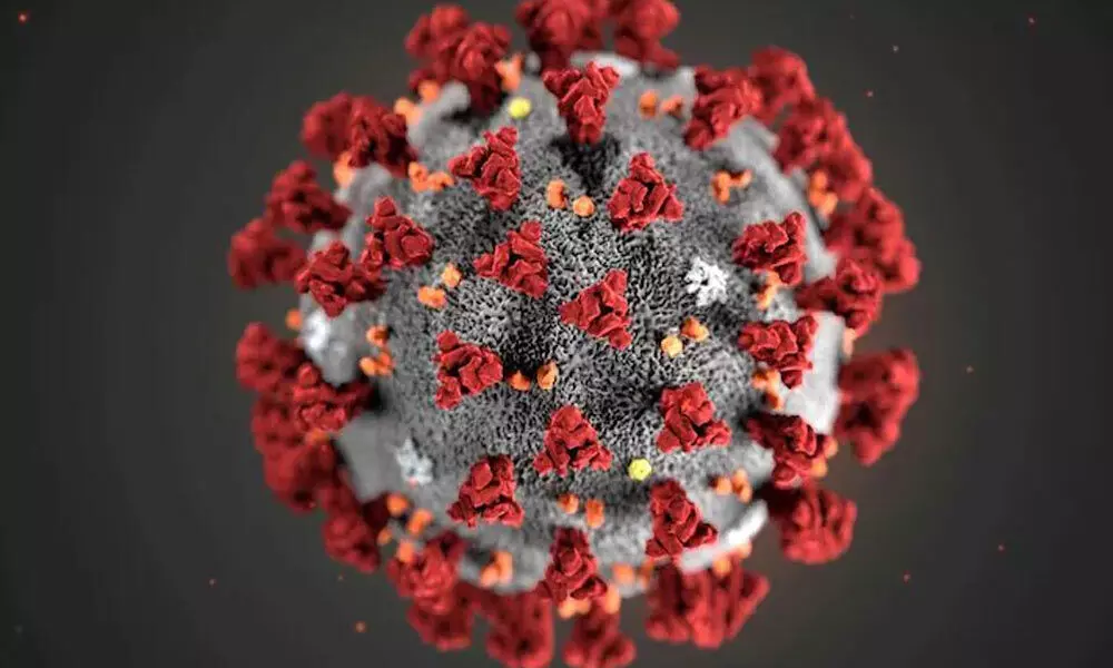 US intelligence community acknowledges two theories of coronavirus origin