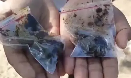 Demand for Ayush boosters soars in Nellore