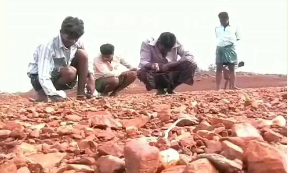 People searching for diamonds in the red soil in Thuggali mandal