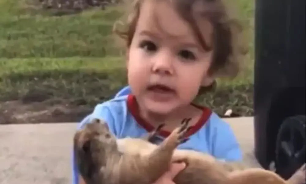 Watch The Trending Video Of Little Girl Singing For Her Prairie Dog