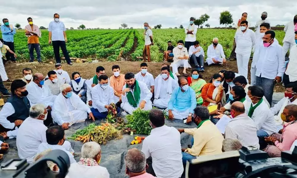 DK Shivakumar reaches out to farmers
